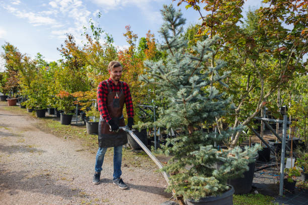 Best Tree Health Inspection  in Goose Creek Village, VA